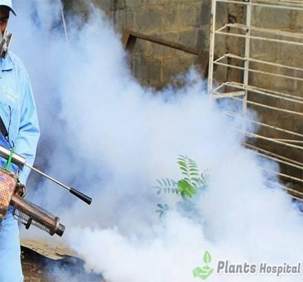 Fumigation