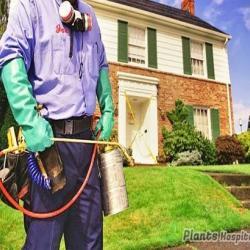 garden-spraying