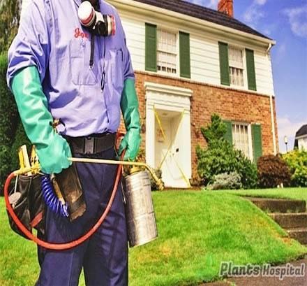 garden-spraying