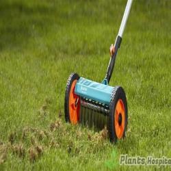 lawn-aerate