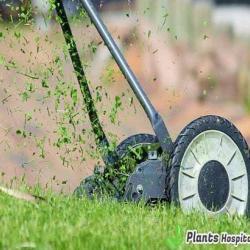 fuel-lawn-mowers