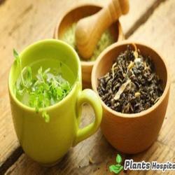 detox-tea