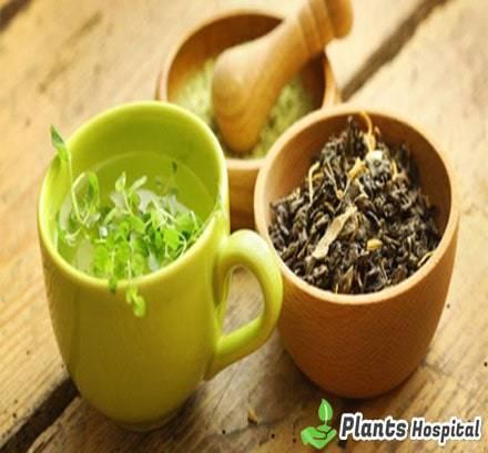 detox-tea