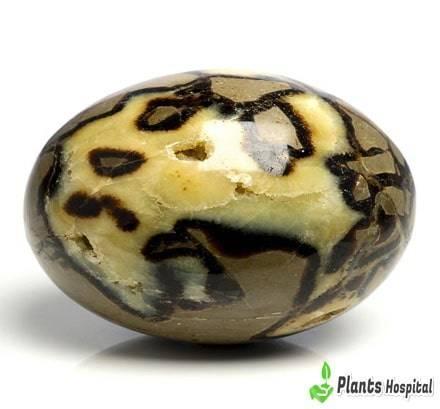 septarian-stone