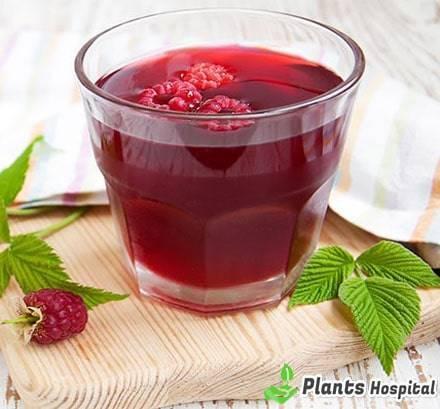 Raspberry-Juice