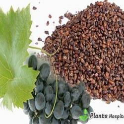 grape-seed