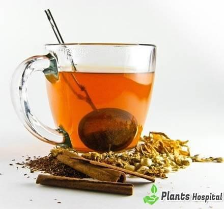 honeybush-tea