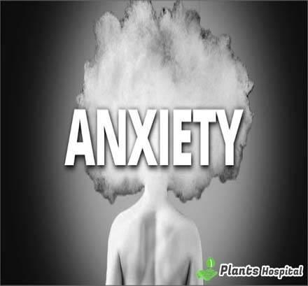 Top-10-Fruits-That-Can-Help-Lower-Your-Anxiety