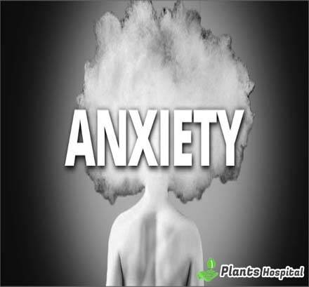 Top-10-Fruits-That-Can-Help-Lower-Your-Anxiety