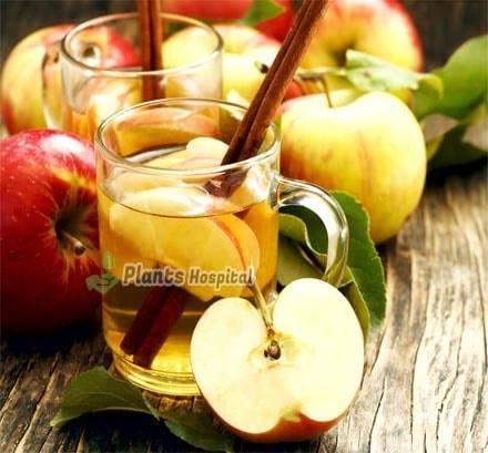 apple-tea