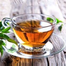 basil-tea