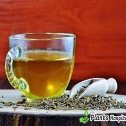 cumin-tea