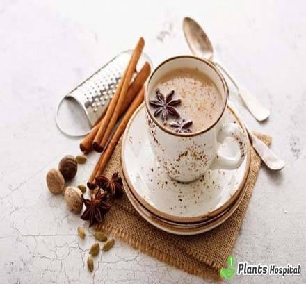 masala-tea