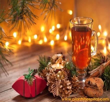 Healthy-Herbal-Teas-Drink-This-Winter