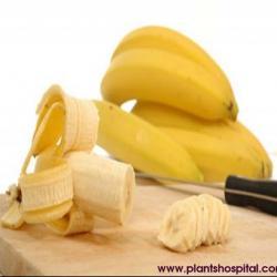 banana