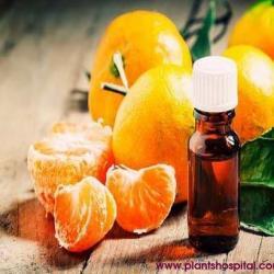 mandarin-essential-oil