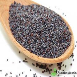 poppy-seeds
