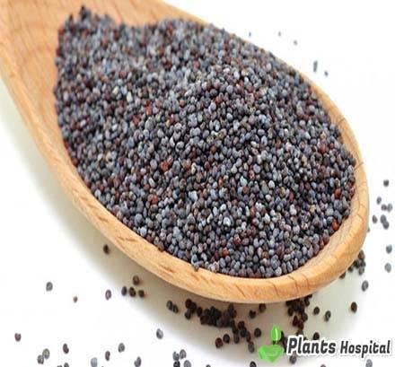 poppy-seeds