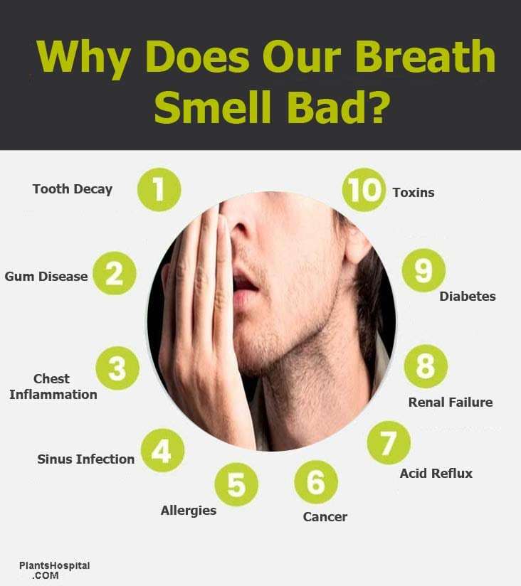 Bad Breath Halitosis Types Diagnosis Treatment And More bad breath halitosis types