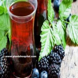 Blackberry-tea