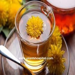Dandelion-Tea