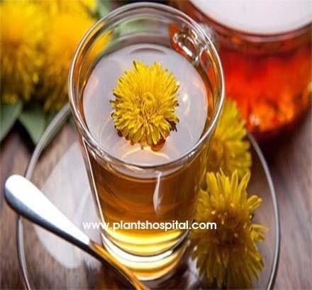 Dandelion-Tea