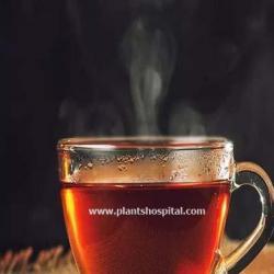 ceylon-tea