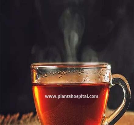 ceylon-tea
