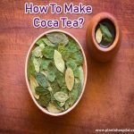 coca-tea