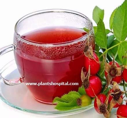 hawthorn-tea