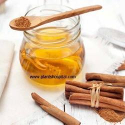 honey-and-cinnamon
