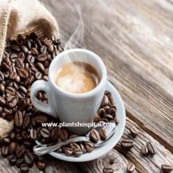 nescafe-coffee