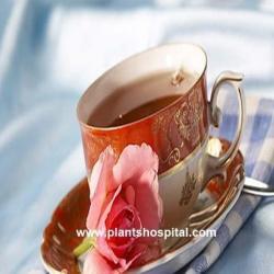 rose-tea