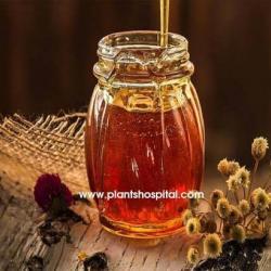 Chasteberry-Tea