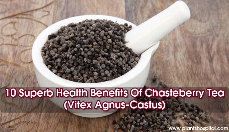 Chasteberry-Tea-Vitex-Agnus-Castus-benefits