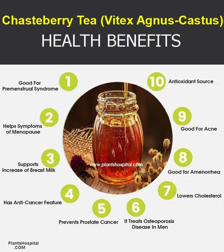 Chasteberry-Tea-Vitex-Agnus-Castus