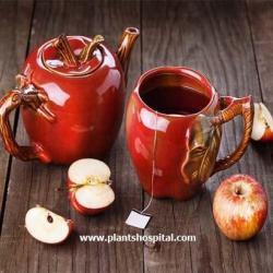 apple-peel-tea