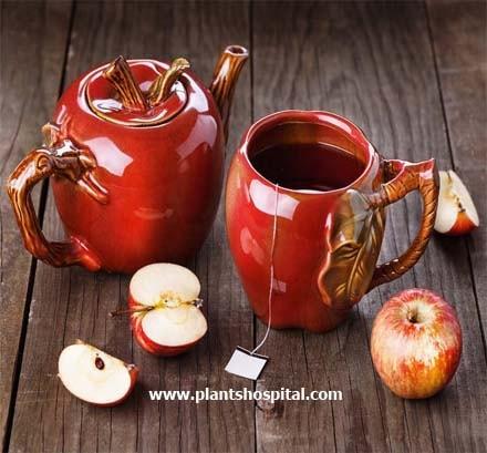 apple-peel-tea