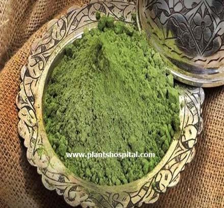 henna-benefits