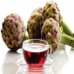 Artichoke-tea