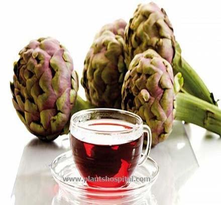 Artichoke-tea