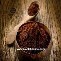 Cocoa