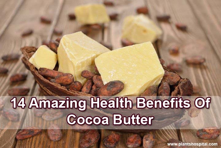 Cocoa-butter-benefits