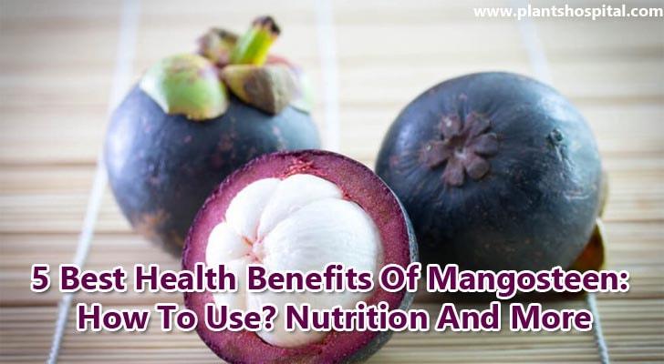 Mangosteen-benefits