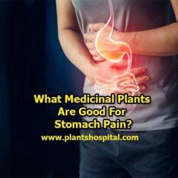 Stomach-Pain