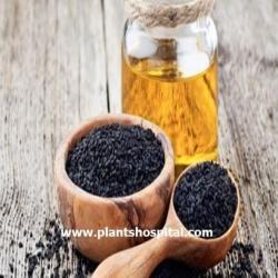 black-seed-oil