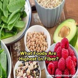 fiber-foods