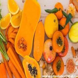 orange-and-yellow-fruits