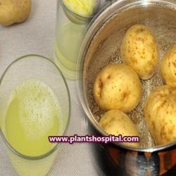 potato-juice