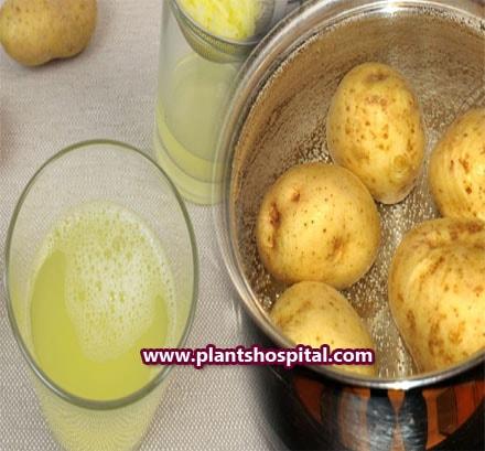 potato-juice